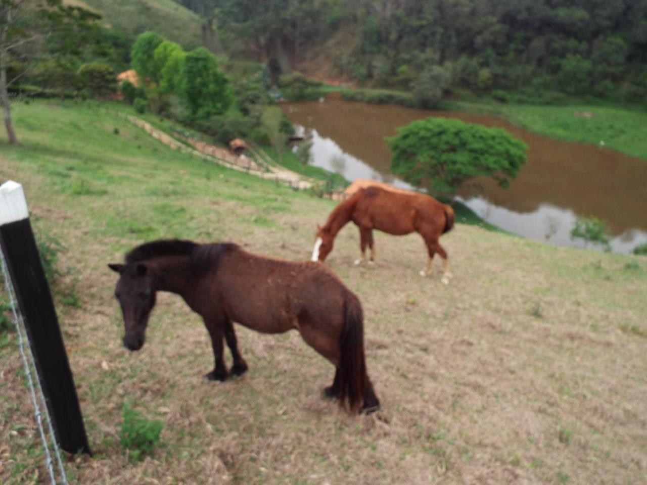Estrela Da Serra Hotel Fazenda Santo Antônio do Pinhal Extérieur photo